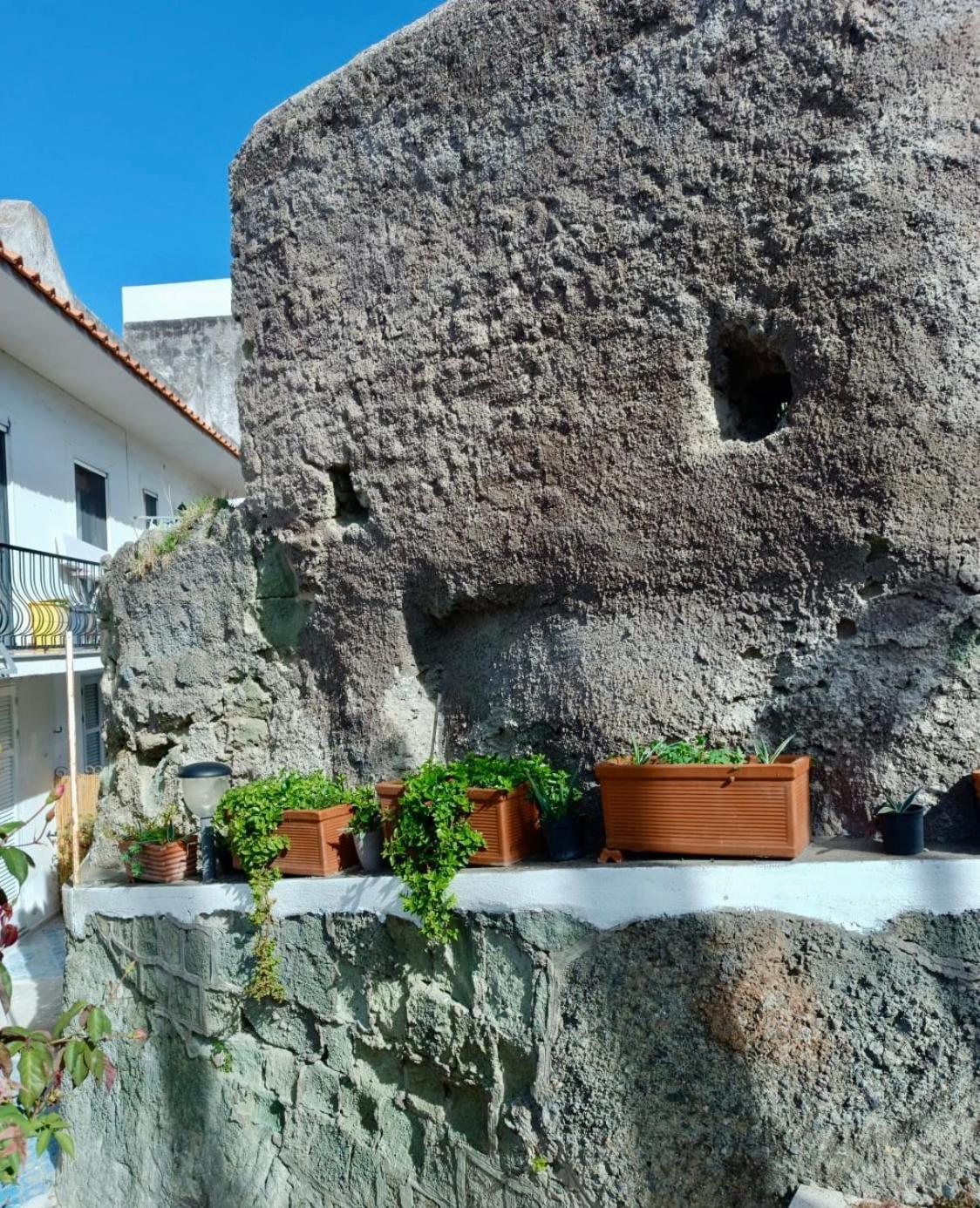 Casa Delle Rose Apartment อีสเกีย ภายนอก รูปภาพ